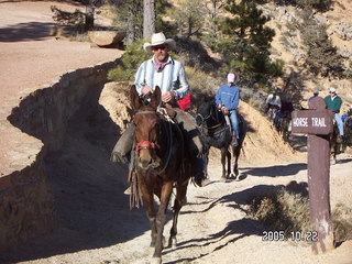 332 5ln. Bryce Canyon -- horses and riders