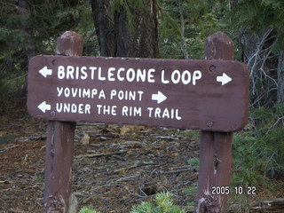 337 5ln. Bryce Canyon -- Bristlecone Loop / Yovimpa Point / Under the Rim Trail sign