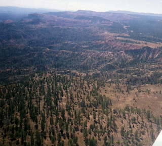 Aerial -- Bryce Canyon