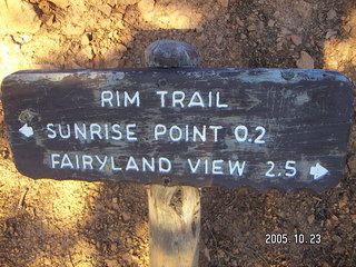 Bryce Canyon -- Navajo Mountain at sunrise