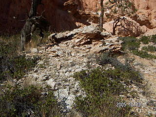 Bryce Canyon -- Fairyland Trail