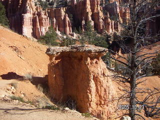 Bryce Canyon -- Fairyland Trail