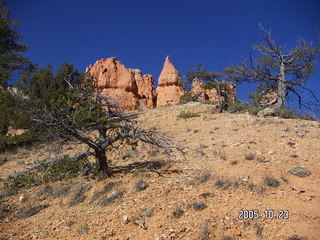 Bryce Canyon -- Fairyland Trail