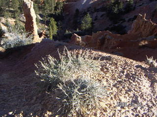Bryce Canyon -- Fairyland Trail