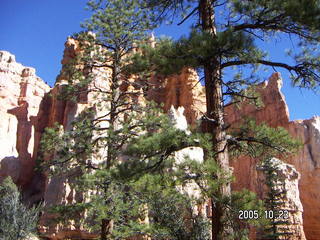 Bryce Canyon -- Fairyland Trail