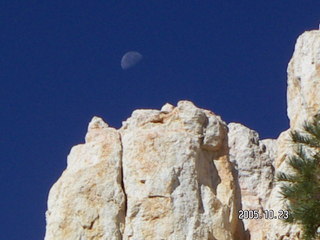 MSLT Ringtail Trail, moon over hill