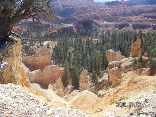 Bryce Canyon -- Fairyland View