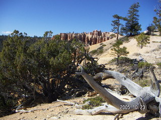 Bryce Canyon -- Rim Trail -- Boat Mesa