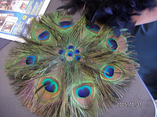 HappyHalloween at Khimetrics -- Peacock feathers