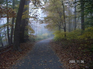 Pennypack Park -- foggy fall morning