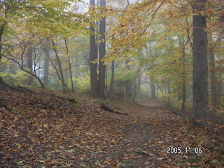 Pennypack Park -- foggy fall morning