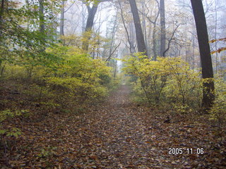 Pennypack Park -- foggy fall morning