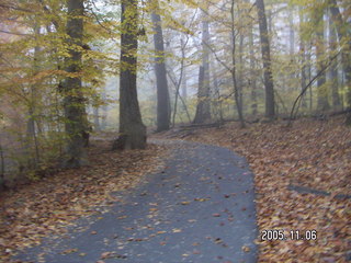 Pennypack Park -- foggy fall morning