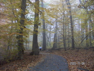 Pennypack Park -- foggy fall morning