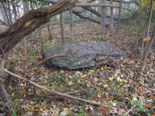 Pennypack Park -- foggy fall morning