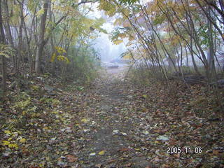 Pennypack Park -- foggy fall morning