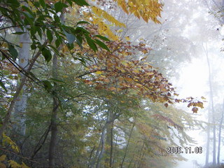 Pennypack Park -- foggy fall morning