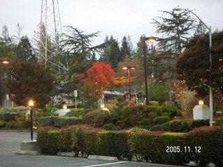 Los Altos Hills morning