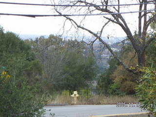 Los Altos Hills morning run