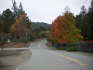 Los Altos Hills morning run