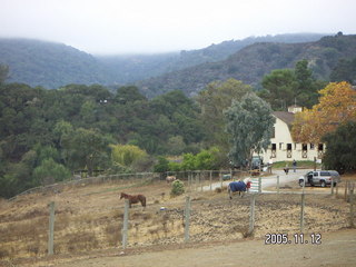 Los Altos Hills morning run