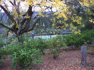 Los Altos Hills morning run