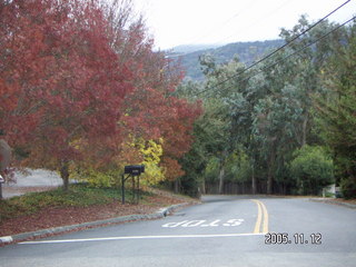 Los Altos Hills morning run