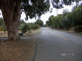 Los Altos Hills morning