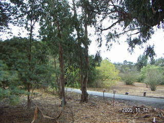 Los Altos Hills morning run