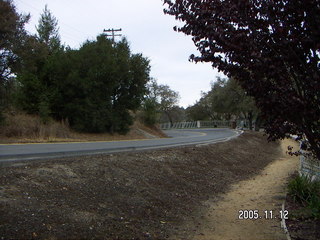 Los Altos Hills morning run