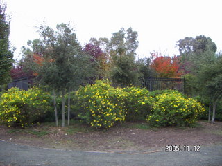 Los Altos Hills morning run