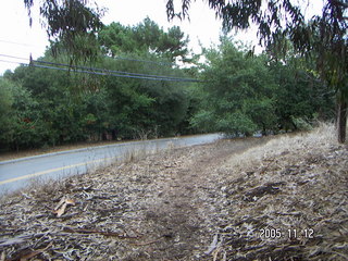 Los Altos Hills morning run