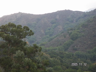 Los Altos Hills morning run