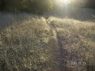 Rancho San Antonio Open Space Preserve run
