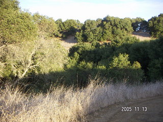 Rancho San Antonio Open Space Preserve run