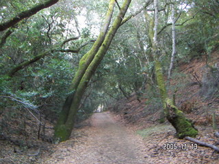Rancho San Antonio Open Space Preserve run
