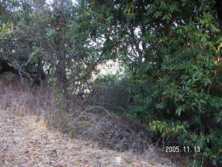 Rancho San Antonio Open Space Preserve run