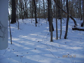 Pennypack Park -- winter wonderland run