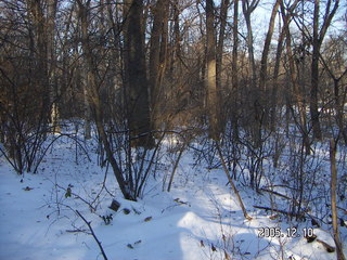 Pennypack Park -- winter wonderland run