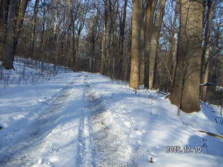 Pennypack Park -- winter wonderland run