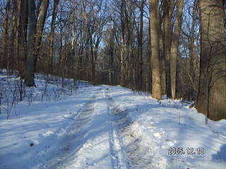 Pennypack Park -- winter wonderland run