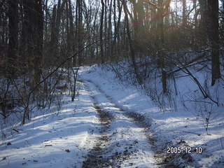 Pennypack Park -- winter wonderland run