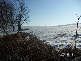 Lorimar Park -- winter wonderland run