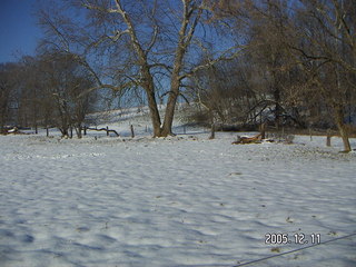 Lorimar Park -- winter wonderland run