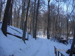 Lorimar Park -- winter wonderland run