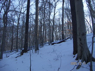 Lorimar Park -- winter wonderland run