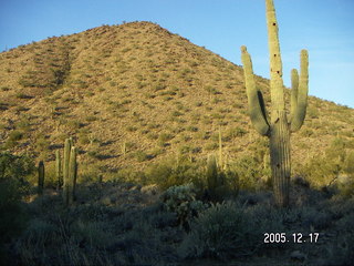 Lorimar Park -- winter wonderland run