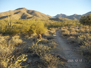 Lorimar Park -- winter wonderland run