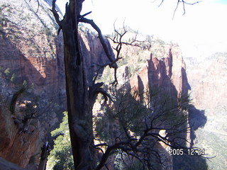 Zion National Park -- Angel's Landing hike