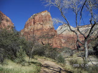 aerial -- Zion National Park